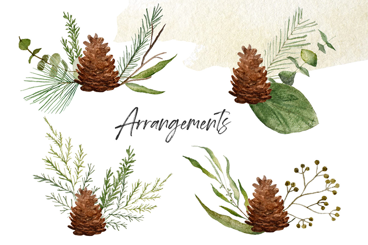 Winter Greenery Watercolor Pack – Free Design Resources